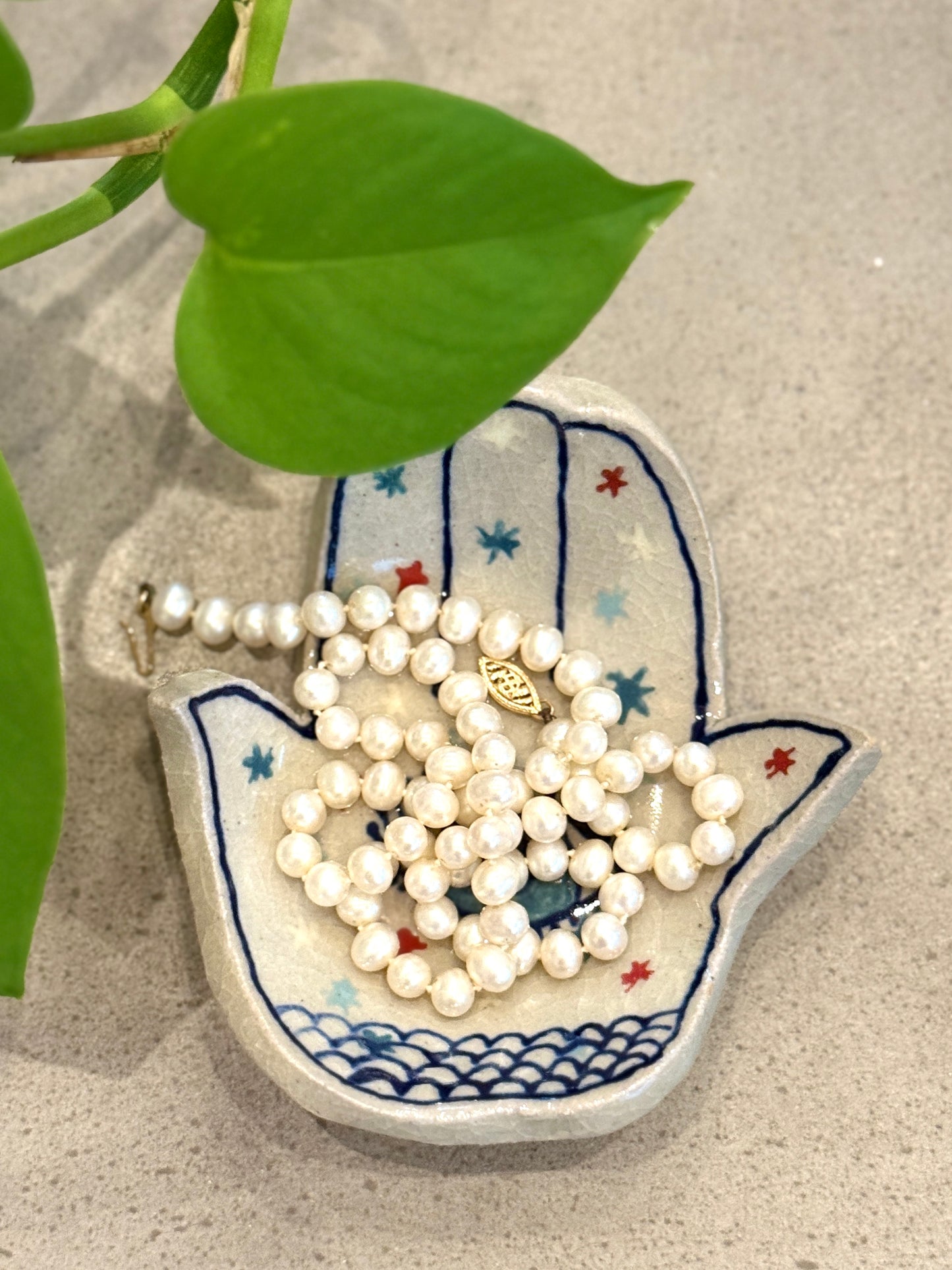 Hamsa Dish